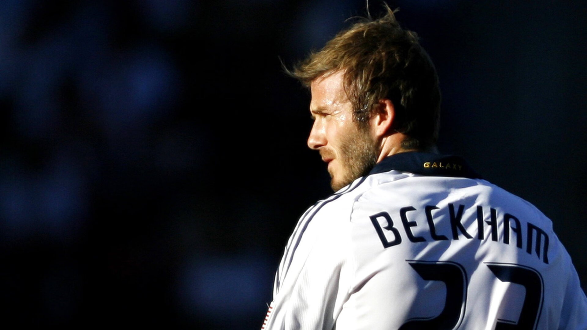 场馆智能监控系统实现人员动态管理,场馆智能化系统